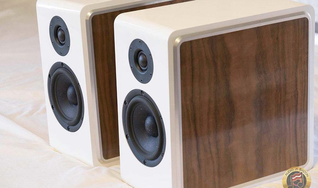 CSS Model P215 Bookshelf Speaker Kit – High-End Sound for Under $1,000
